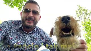 My Welsh Terrier Tofi short story (Subtitles EN)