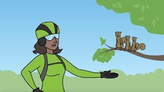 Is There Room in Your Right-of-Way for a Free Tree, Denver? | Be A Smart Ash