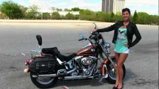 Used 2008 Harley-Davidson FLSTC Heritage Softail Classic 105th Anniversary screenshot 5