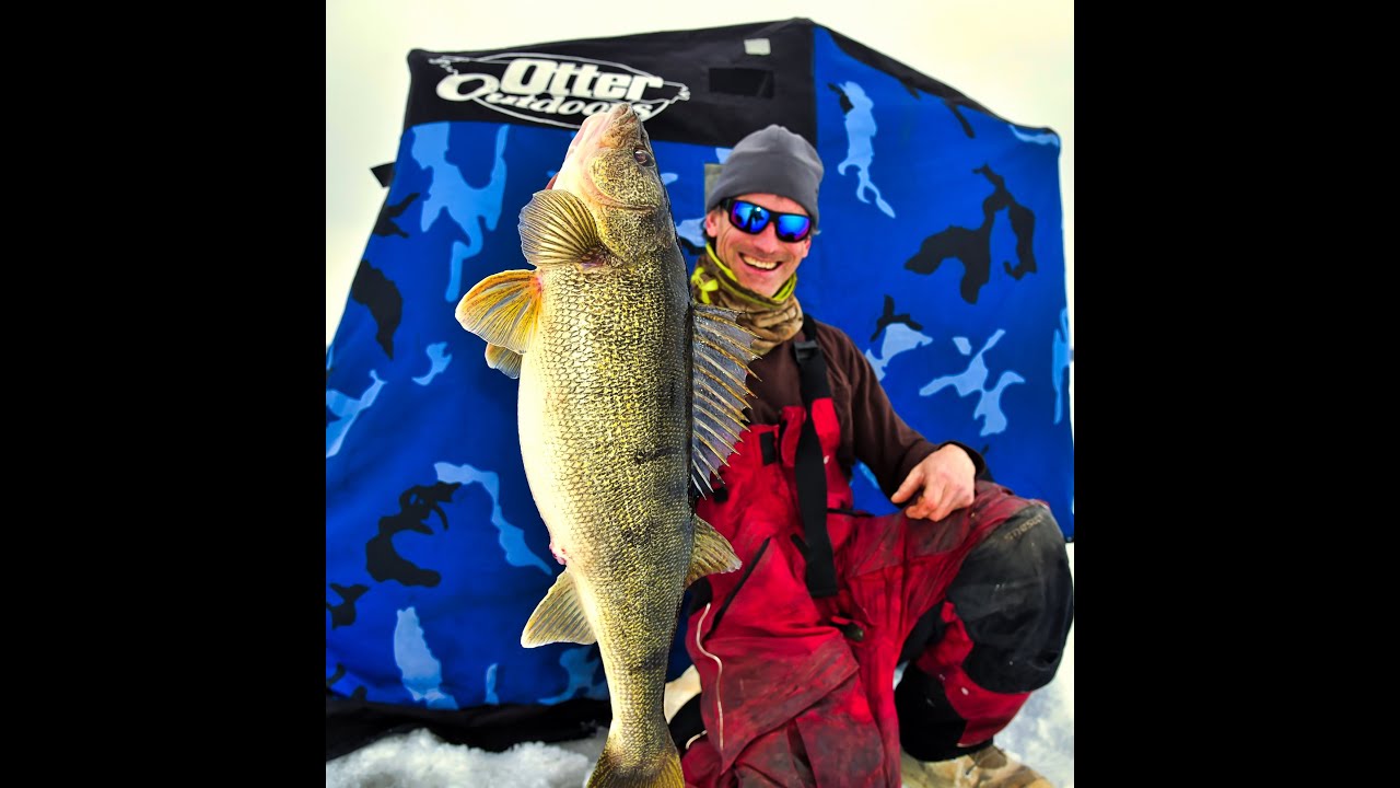 Giant 13lb Walleye caught Ice Fishing Chaumont Bay NY