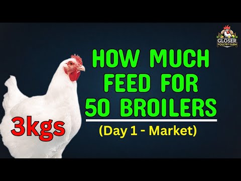 How Much Feed for 50 Broilers in 6 Weeks and per bird?