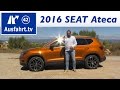 Seat Ateca Hundebox