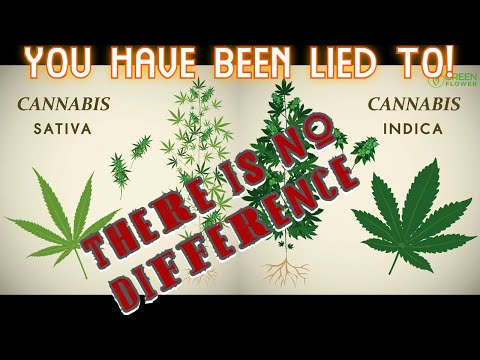 Sativa vs Indica - The REAL Difference! - Science Backed Explanation!
