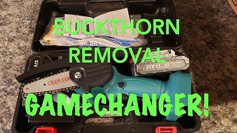 Buckthorn Removal Gamechanger!