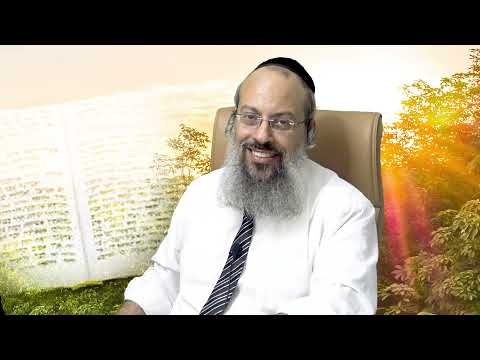 לקום כל בוקר כמו חדש | מתי לומדים שאנחנו כלומניקים | פגרים מתים ᴴᴰ