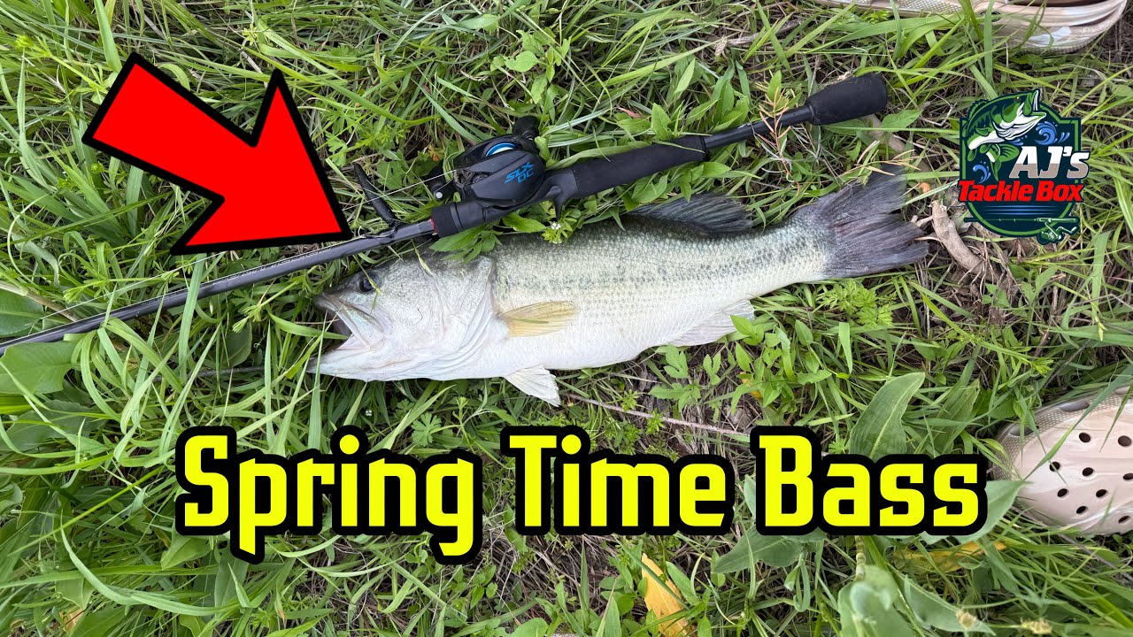 Spring Creek Largemouth Bass Fishing | Favorite Lure and Big Bite!