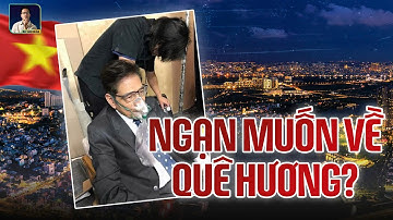 Nguyễn Ngọc Ngạn Muốn Về Việt Nam Dưỡng Già? Không Có Mùa Xuân Ấy Đâu