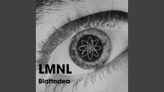 Blattodea