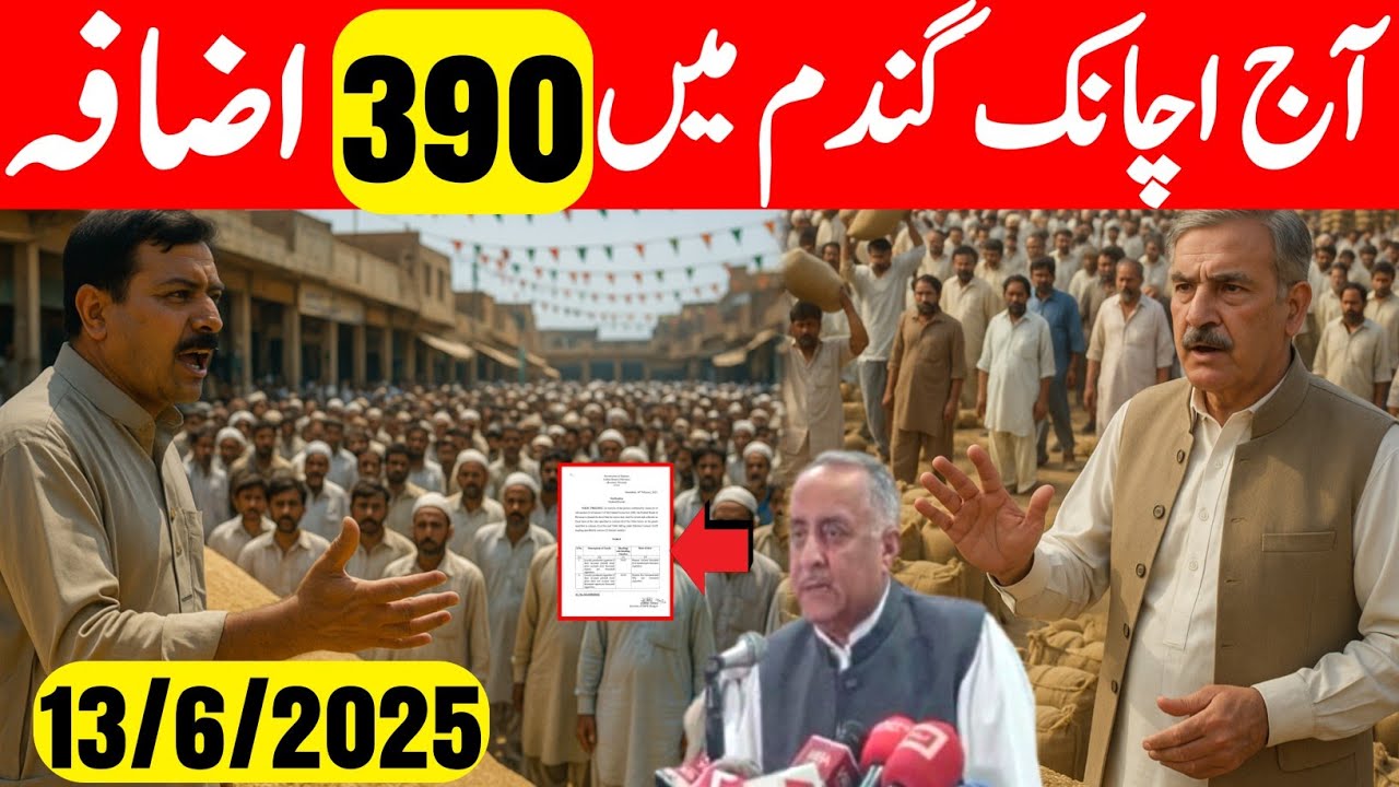 Aj Gandum Ka Final Rate | Wheat Support Price Today In Punjab | 8k ...