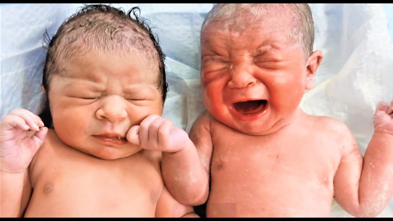 Twin newborn babies are adorable and cute after delivery, dressing and