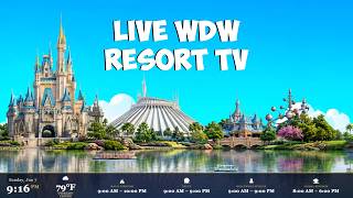 WDW Today Channel - New Layout!! | Walt Disney World Resort TV Live 24/7