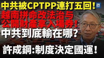 中共被CPTPP連打五回！越南拼命改法治、公開財產拿入場券，中共到底輸在哪？許成鋼：制度基因決定國運！許成鋼#CPTPP#中国经济#中美贸易战#trump #川普#越南改革#制度基因#國企改革#中美