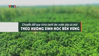 Kỹ thuật trồng cây ăn quả theo hướng hữu cơ