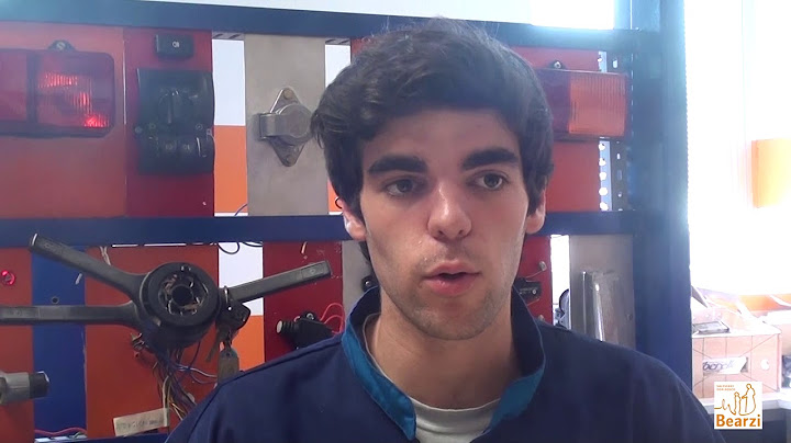 L'esperienza dell'Apprendistato duale raccontata dai ragazzi del Bearzi di Udine