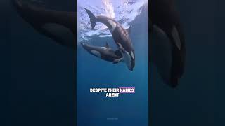 Celebrity insane facts that you were never even meant to encounter! 🤯 Profile