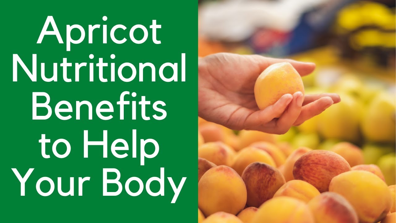 Apricot Nutritional Benefits to Help Your Body YouTube