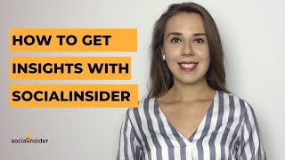 How to get social media stats & data with Socialinsider screenshot 2