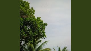 Sudah suratan