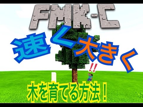 マインクラフトpe小技木を早く育てる方法 骨粉なし Youtube