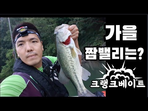 배스 낚시)이른 아침 배스낚시엔 크랑크베이트(Crankbait for early morning bass fishing)