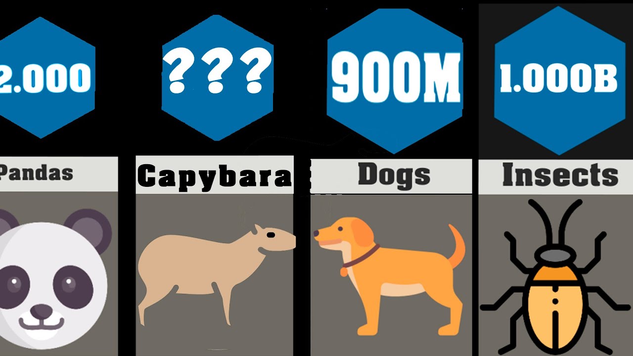 Comparison Of Animal Populations [December 2022]