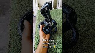 🙏BLACK stone making snake|kobara nagdevta|#shorts #snake