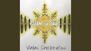 Viską Tu Turi