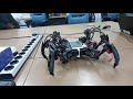 Hexapod