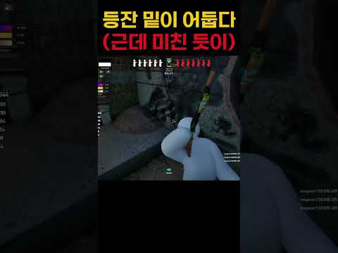 저도 올려보고 싶었습니다 메챠 카멜레온 비록 20분밖에 못 했지만