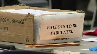 ‘When will the madness end?’ -- Michigan Auditor General requests some counties review 2020 elec...