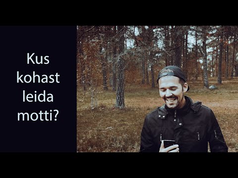 Video: Kust leida elusat sfagnumsammalt?