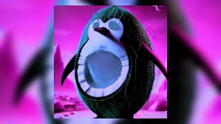 PENGUINI COCOSINNI FUNK