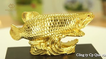 Cá Rồng phong thủy Mạ vàng 24K - Giá bán Tượng Cá Rồng - Golden Gift Việt Nam