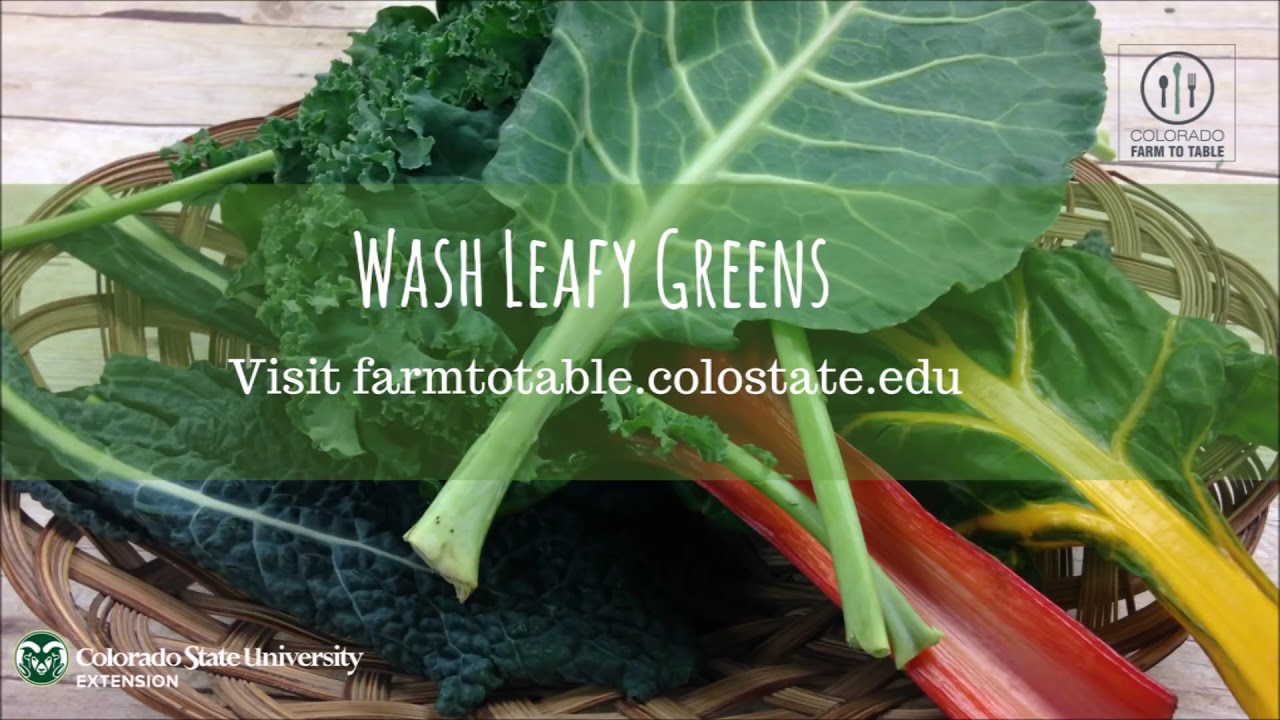 How to Clean Collard Greens - YouTube