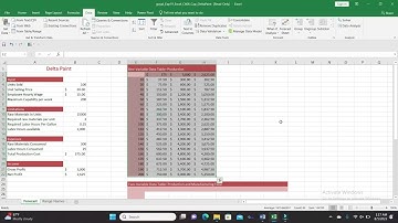 Exp19_Excel_Ch06_CapAssessment_Delta_Paint | Chapter 06_CapAssessment_Delta_Paint