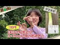 プランターでどっさりタマネギ