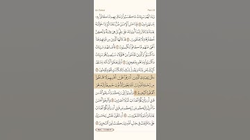ياسر الدوسري | سورة الزمر - الآيات ﴿53-54﴾