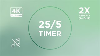1 Hour Pomodoro Timer – 25/5 Focus Sessions • Silent, No Music, No Ads