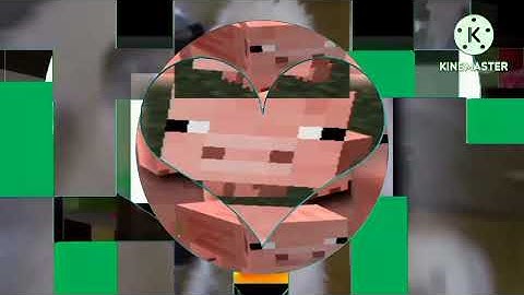 shapes 2/4 scan vs round 183