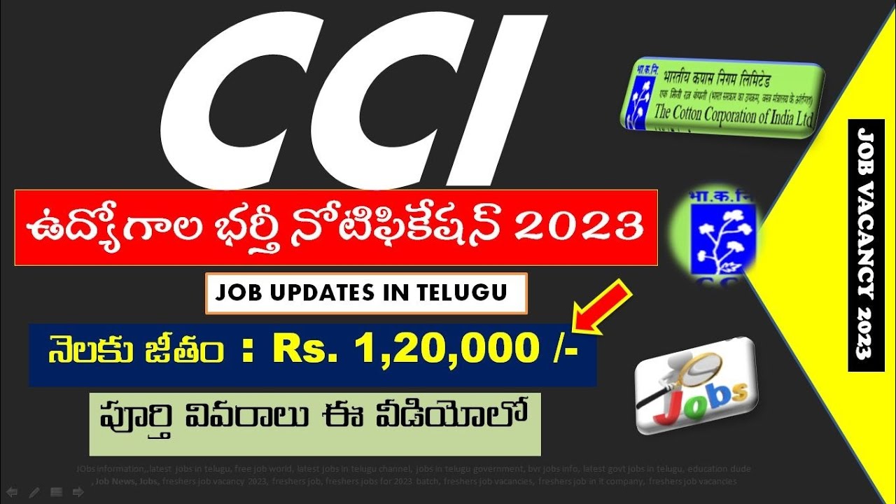 Cotton Corporation Of India Recruitment 2023 Job updates in Telugu