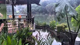 Singapore Botanic Gardens 3 Lakes@tuatorhuat