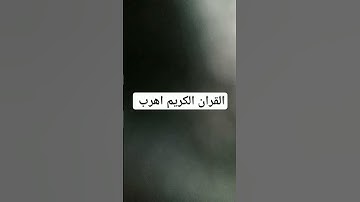 القران الكريم #القرآن_الكريم #الجزائر #تلاوة #السعودية #القرآن #المغرب #محمد_الفقيه