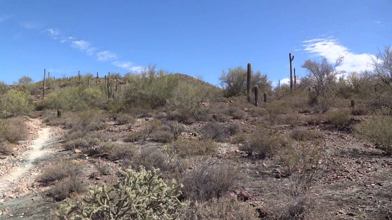 Horseback Riding in Cave Creek AZ May 2016 Video 3 of 4 YouTube