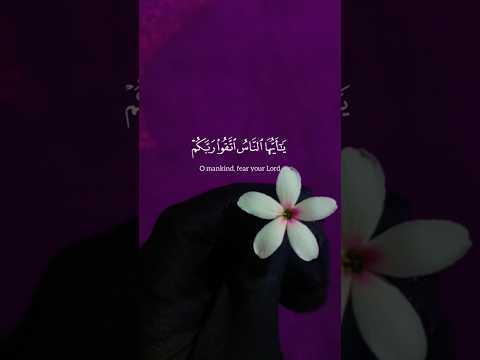 ي اي ه االن اس ات ق و ار ب ك م    قرآن ياسر الدوسري اسلام