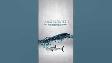 قُل لَّوْ كَانَ الْبَحْرُ مِدَادًا لِّكَلِمَاتِ رَبِّي #عبدالباسط_عبدالصمد #سورة_الكهف