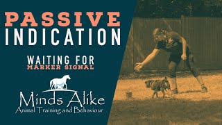 Minds Alike - Passive Indication Waiting For Marker Signal