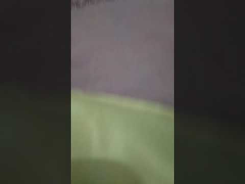 UNBOXING TAS LOUIS