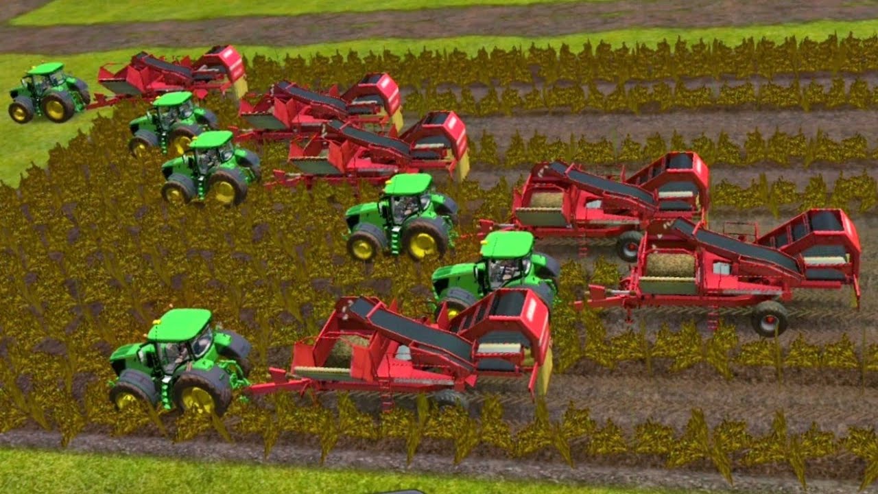 How To Harvest Potatoes   In Fs 16 ! farming simulator 16 || timelapse 