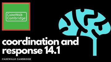 IGCSE Biology 14.1 - Coordination and Response | CakeWalk Cambridge