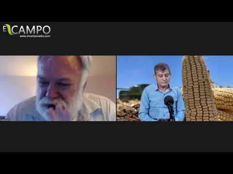 EL CAMPO -